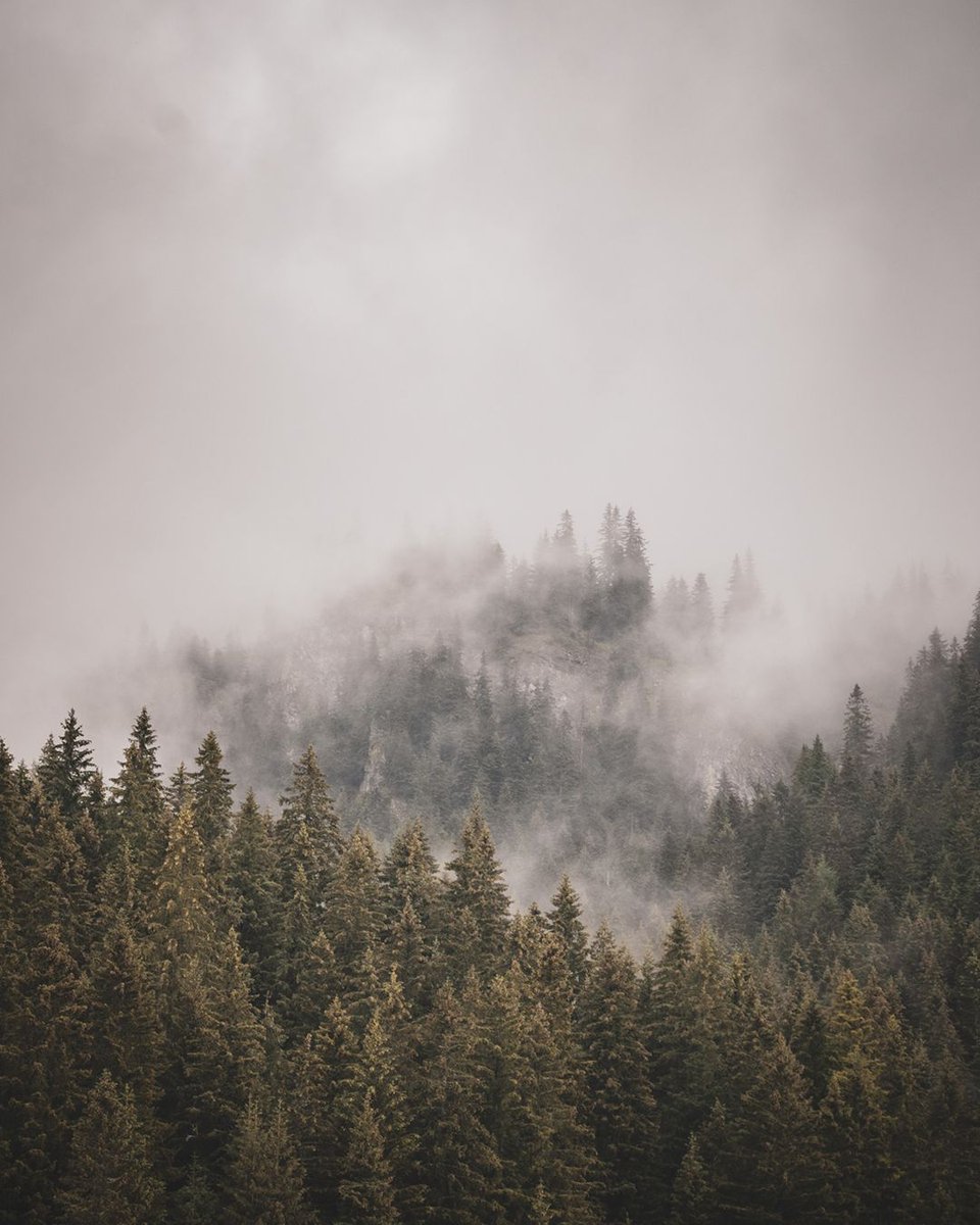 TTArtPhoto's tweet photo. 📸 TTArtisan 25mm F2 - Die immer-drauf-Optik für viele Aufnahme-Genres
#ttartisan #ttartisan25mmf2 https://t.co/hXLj28bPAS