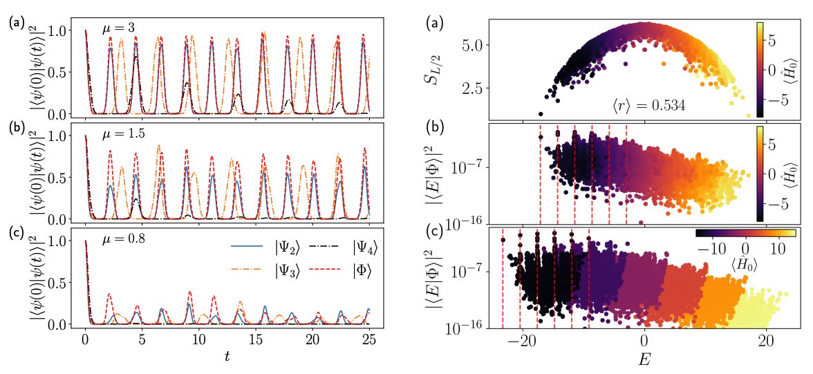 Jad C. Halimeh tweet media