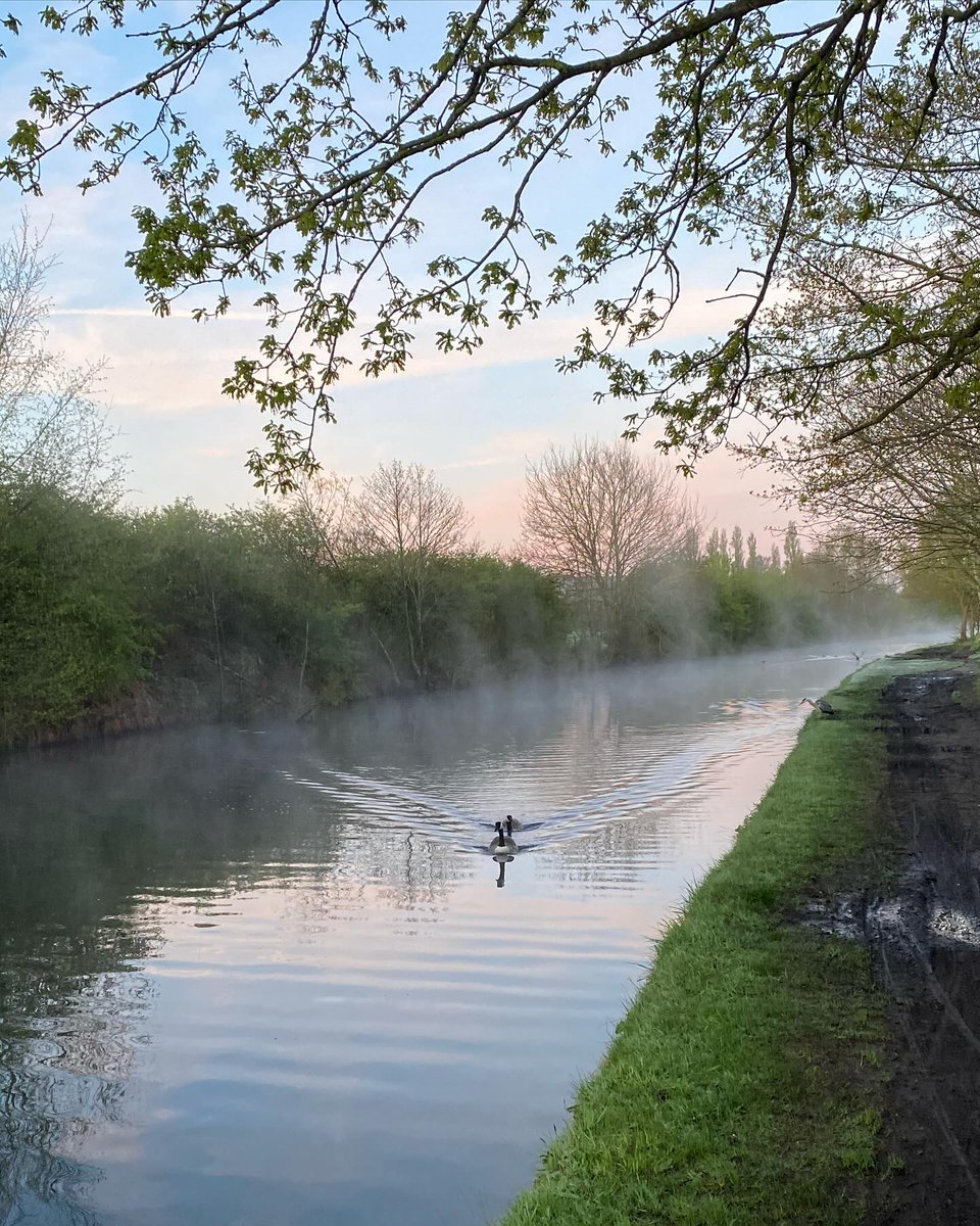 An overcast, rainy morning, but it’s good to see the heron & the moorhen families are busy ferrying food back to their nests. Good to have a lovely walk. #dailywalk #timeinnature #wellbeing #canal #heron #earlymorning