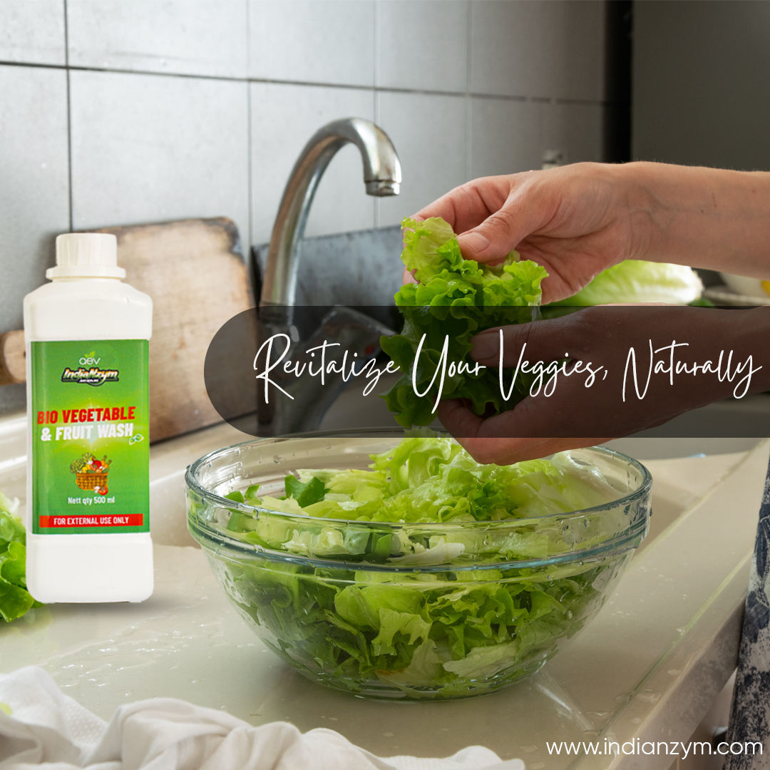 Revitalize your Veggies, Naturally - Indianzym

🌐indianzym.com

#Indianzym #EcoFriendlyCleaning #GreenCleaning
#SustainableLiving #NaturalCleaning
#EnvironmentallyFriendly #CleanLiving #GoGreen
#HomeCleaning #GreenHome #indianzym