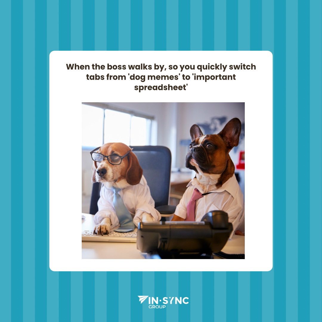 Important spreadsheet I promise🐶😅