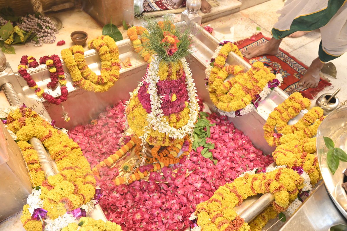 ShriVishwanath's tweet photo. आज दिनांक 19-04-2024 को श्री काशी विश्वनाथ मंदिर में मध्याह्न-भोग आरती के भव्य दर्शन
Shri Kashi Vishwanath's official social media handles:
Facebook - https://t.co/6M7tzfIBrG
Twitter - https://t.co/lBHmGmpQ2V
Instagram - https://t.co/3pjtd6i1Ui
Youtube - https://t.co/SVssxxEqzt https://t.co/9COE9gJdLi