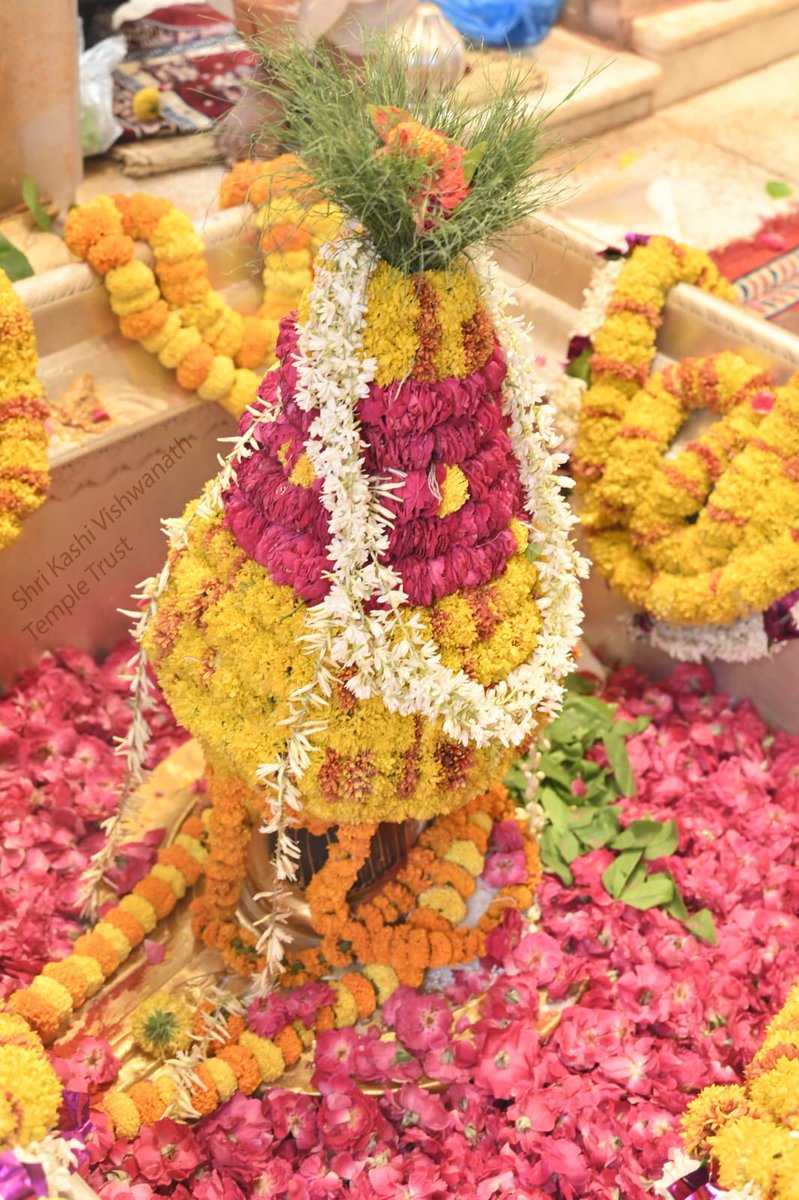ShriVishwanath's tweet photo. आज दिनांक 19-04-2024 को श्री काशी विश्वनाथ मंदिर में मध्याह्न-भोग आरती के भव्य दर्शन
Shri Kashi Vishwanath's official social media handles:
Facebook - https://t.co/6M7tzfIBrG
Twitter - https://t.co/lBHmGmpQ2V
Instagram - https://t.co/3pjtd6i1Ui
Youtube - https://t.co/SVssxxEqzt https://t.co/9COE9gJdLi