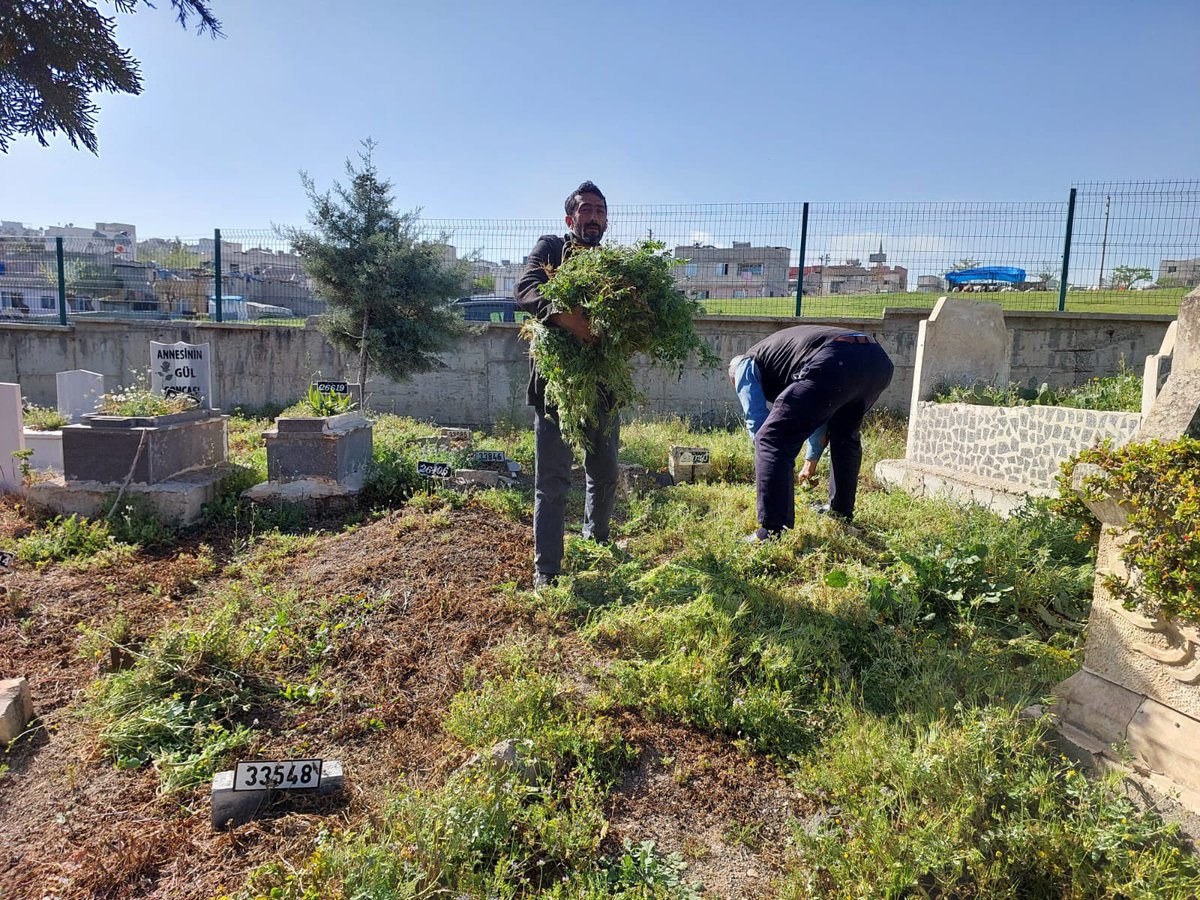 Vatandaşlarımızın mezarlık ziyaretlerini daha temiz ve düzenli bir ortamda yapabilmeleri için mezarlık ekiplerimiz, mezarlık temizliği ve yabani otların ilaçlama çalışmalarını hassasiyetle sürdürüyor. 🚧