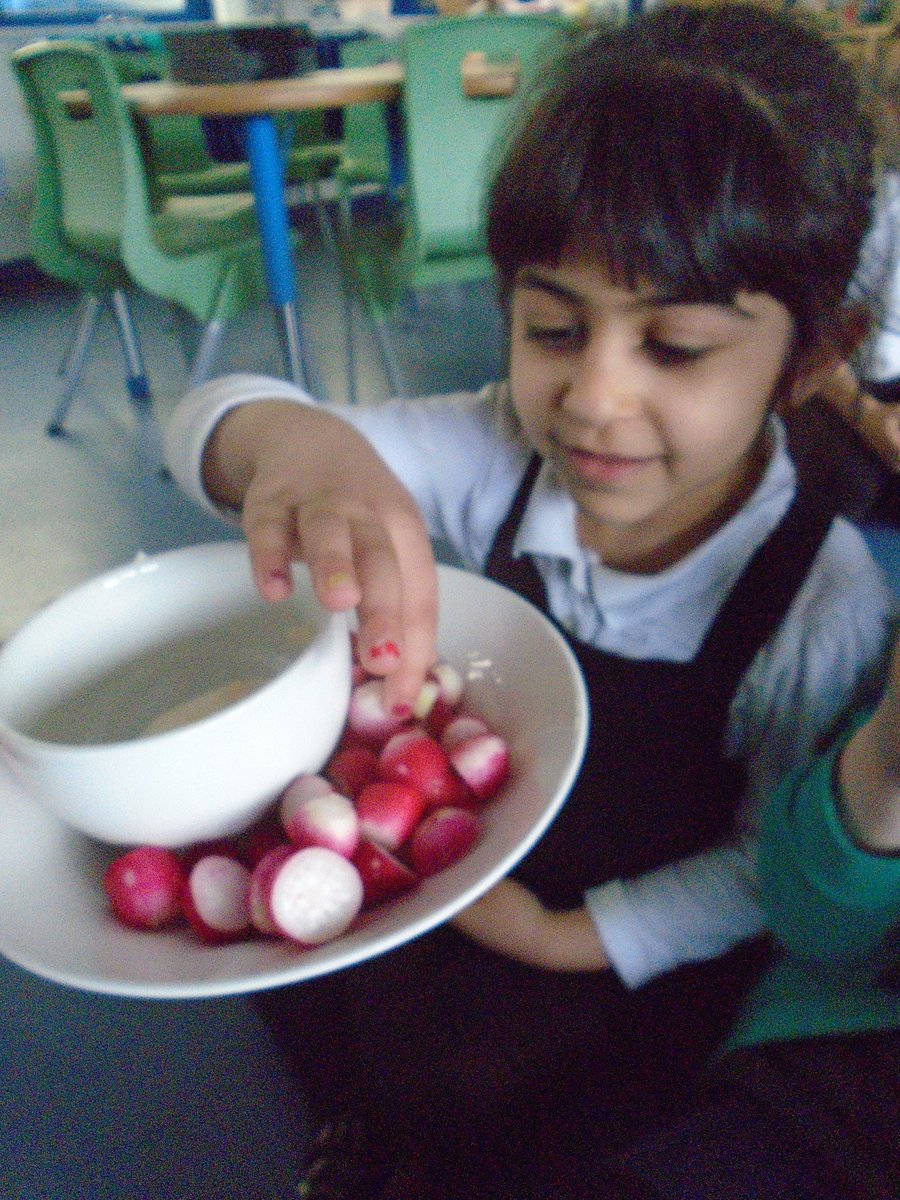 Year 1 harvested, prepared and sampled some radishes - some raw with a bit of mayonnaise, and some roasted. @TreesforCities @GrowCardiff