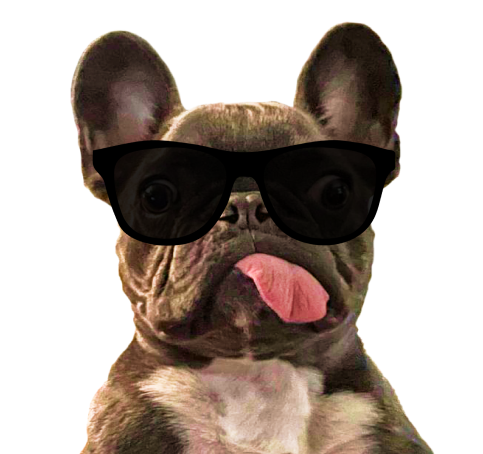 🐾🐶 Collecting James Woof Emoji! 🐶🐾 Create my cutest expressions, win my heart, win big prizes! 🥰🍖 Use the #JamesWoof tag and let's build a world of love through emojis! Good works will be rewarded.🦴 #Airdrop #Memecoin