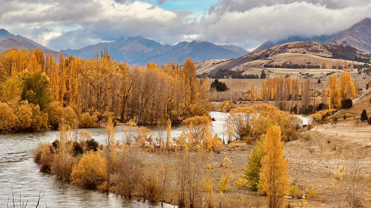 Orange hues dance along the rivers of South Island, New Zealand, painting a breathtaking autumn spectacle. #art #photography #nftphoto #solana