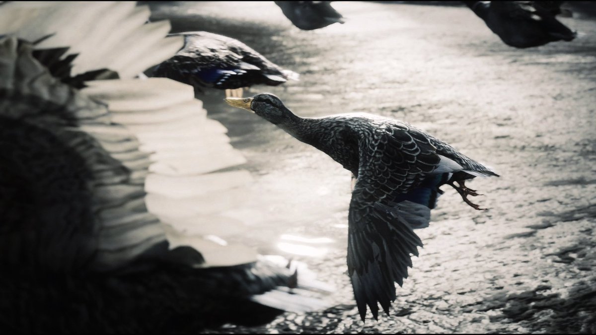 HavocRains's tweet image. Red Dead Redemption. This game was on another level for its time.

#RedDeadRedemption2 #RedDead #VirtualPhotography #PhotoMode #VPRT