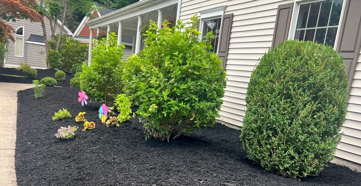 Is Your Landscape Lacking Luster?😞
We create show-stopping landscapes that elevate your property value.😎✨

Stand out from the block with our landscaping service! 🤗💫

#primelandscapers #springseason #greenspace  #LandscapingIdeas #landscaping #landscapingservice