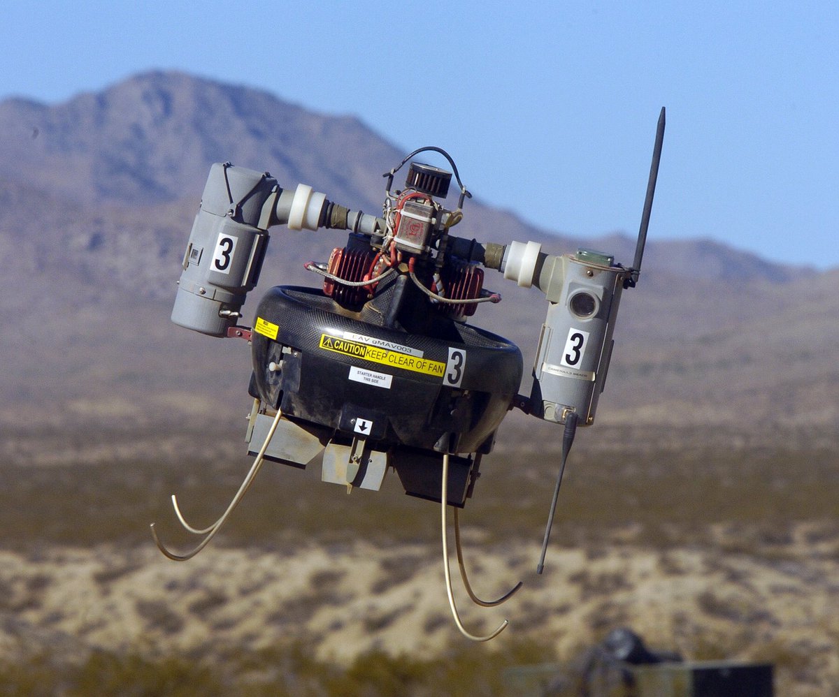 اگر چرت و پرت نگفته باشن منظور از ریزپرنده احتمالا micro air vehicle (MAV), or micro aerial vehicle هست که گونه‌ای از پهپادهای مینیاتوری است. 
تصویر، یک مثالش هست که اسمش Honeywell RQ-16 T-Hawk هست.
