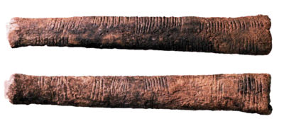 Ishango bone - solid evidence of counting 

⏰ Exist: 18,000 BC
📌 Fossil Found in: Ishango, Congo.

🔬 Info: The first really solid evidence of counting in the form of the number one '1'
Epipaleolithic -

#astrogeomanity   #sciencefact #geologystudent #sciencenerd  #scienceart