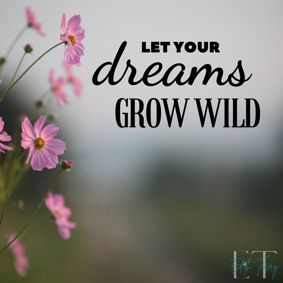 𝗡𝗲𝘃𝗲𝗿 stop dreaming! 

 #motivationallife #coachingforwomen #MotivationalQuotes