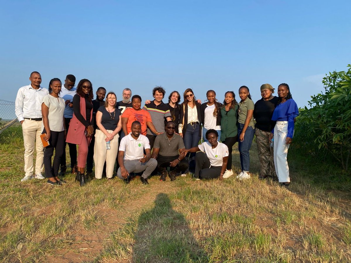 Francesco Baldini tweet media