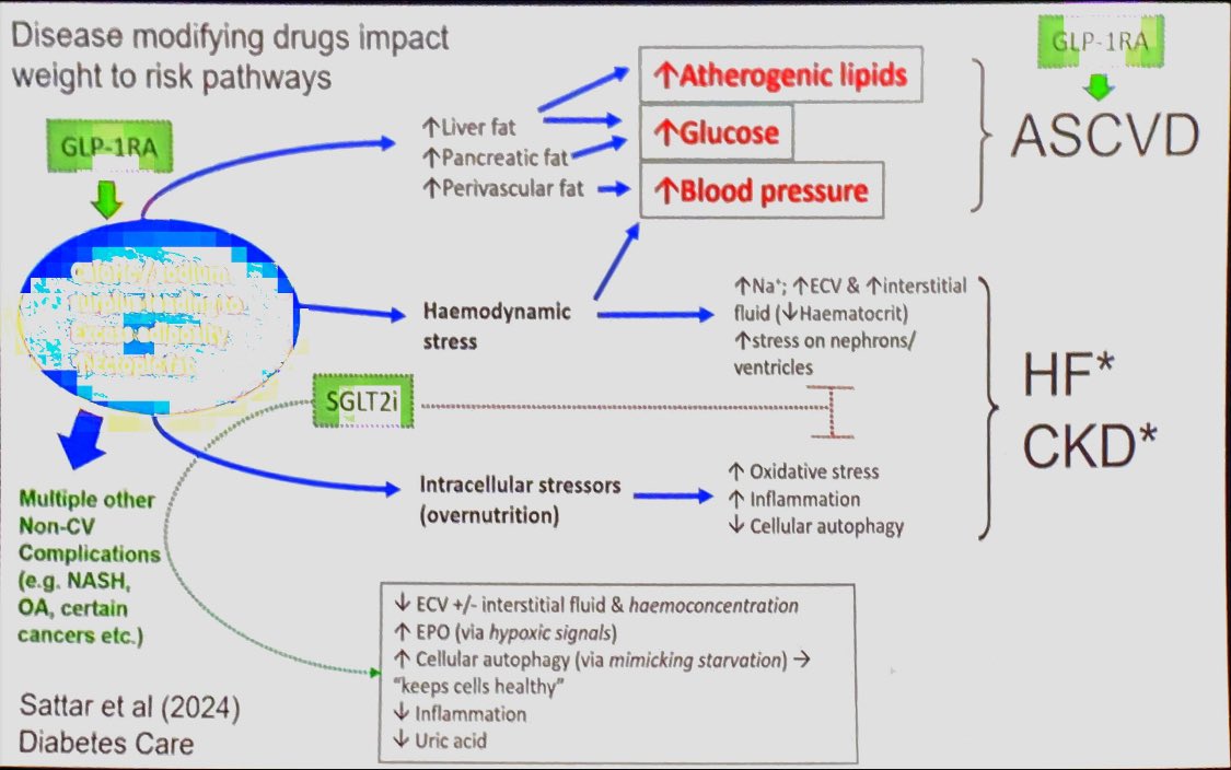 Nice slide on ‘disease modifying’ in #T2DM by Naveed Sattar @DiabetesUK #DUKPC2024 @GoggleDocs @kamleshkhunti