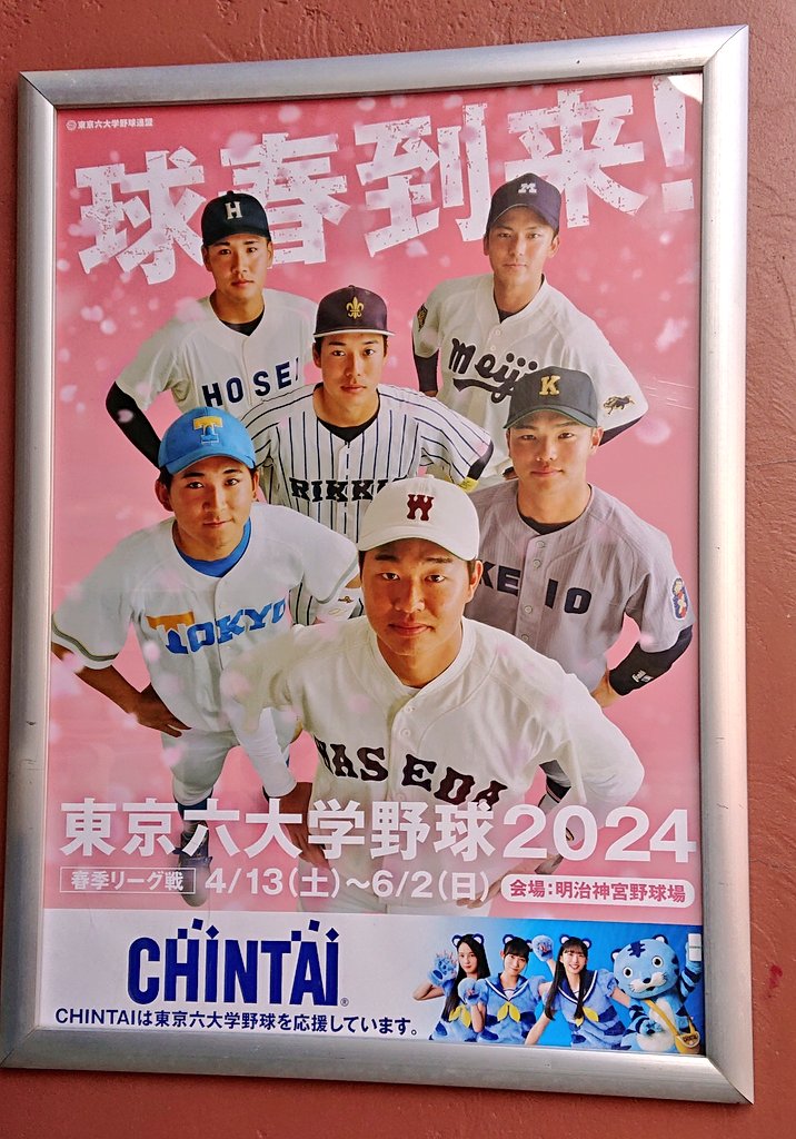 球春到来⚾ #東京六大学野球