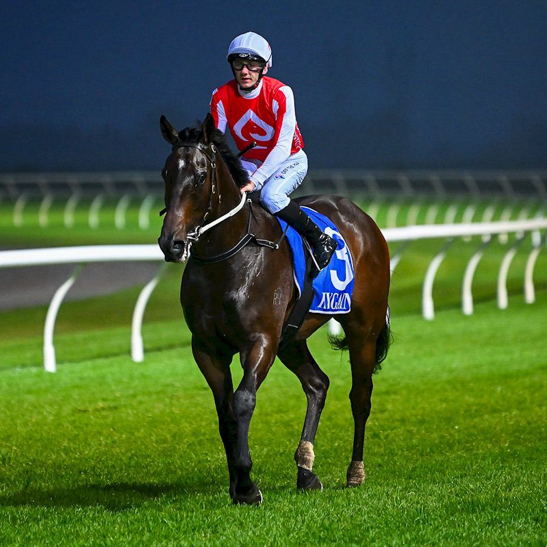 ♠️ It was great to see Angland hold on for back-to-back wins last night under a strong <a href="/beau_mertens/">Beau Mertens</a> ride for the <a href="/MickPriceRacing/">Price Kent Racing</a> team 🚀 Congrats to all connections! 

Head to our website to keep informed on future opportunities: acebloodstock.com.au/contact

#RaceWithAce