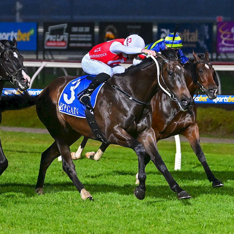 AceBloodstock's tweet photo. ♠️ It was great to see Angland hold on for back-to-back wins last night under a strong @beau_mertens ride for the @MickPriceRacing team 🚀 Congrats to all connections!
Head to our website to keep informed on future opportunities: https://t.co/iTFZ40acK6
#RaceWithAce https://t.co/iQL3QH9Qgd