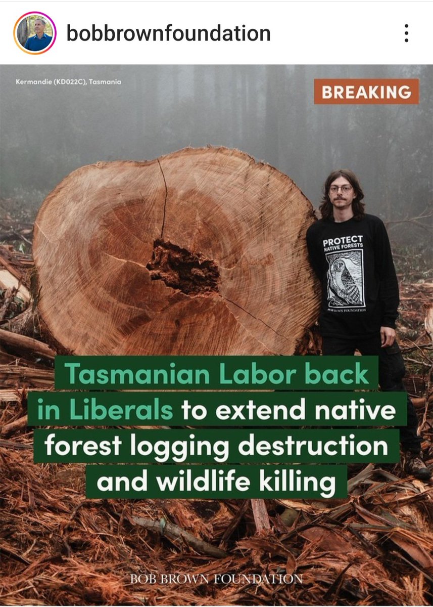 Australian Labor no longer offers an alternative to voters - just an extension of the Coalition's destructive #environmental policies. This is no #democracy. #auspol #politas #extinction #deforestation