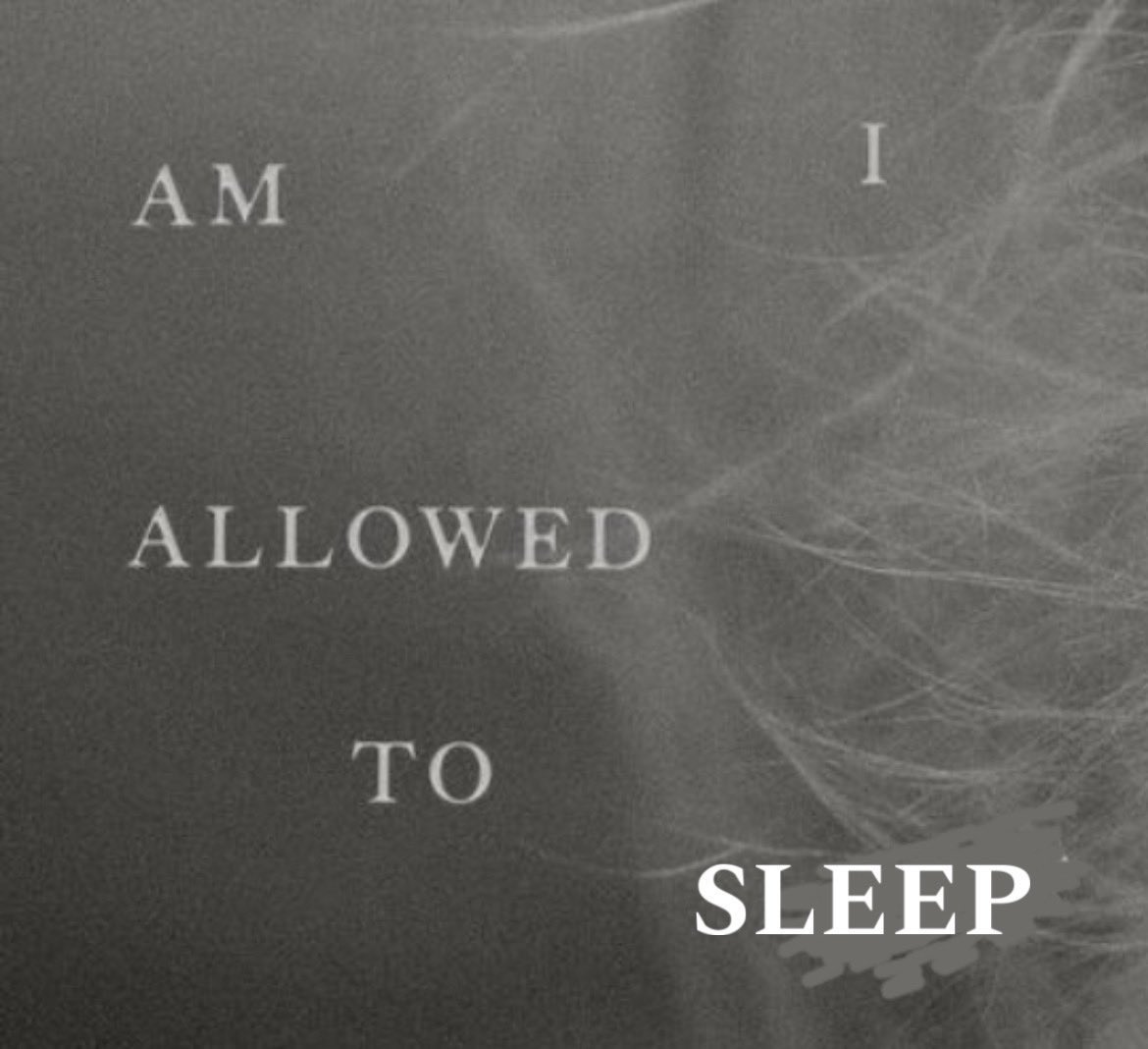 myrputations's tweet photo. can’t sleep my mind is alive. poets are tortured. many lyrics to analyze. #TSTTPD #TSTTPDBoardMeeting https://t.co/EqxYkC1cOO