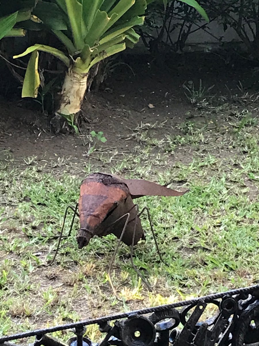 Francesco Baldini tweet media