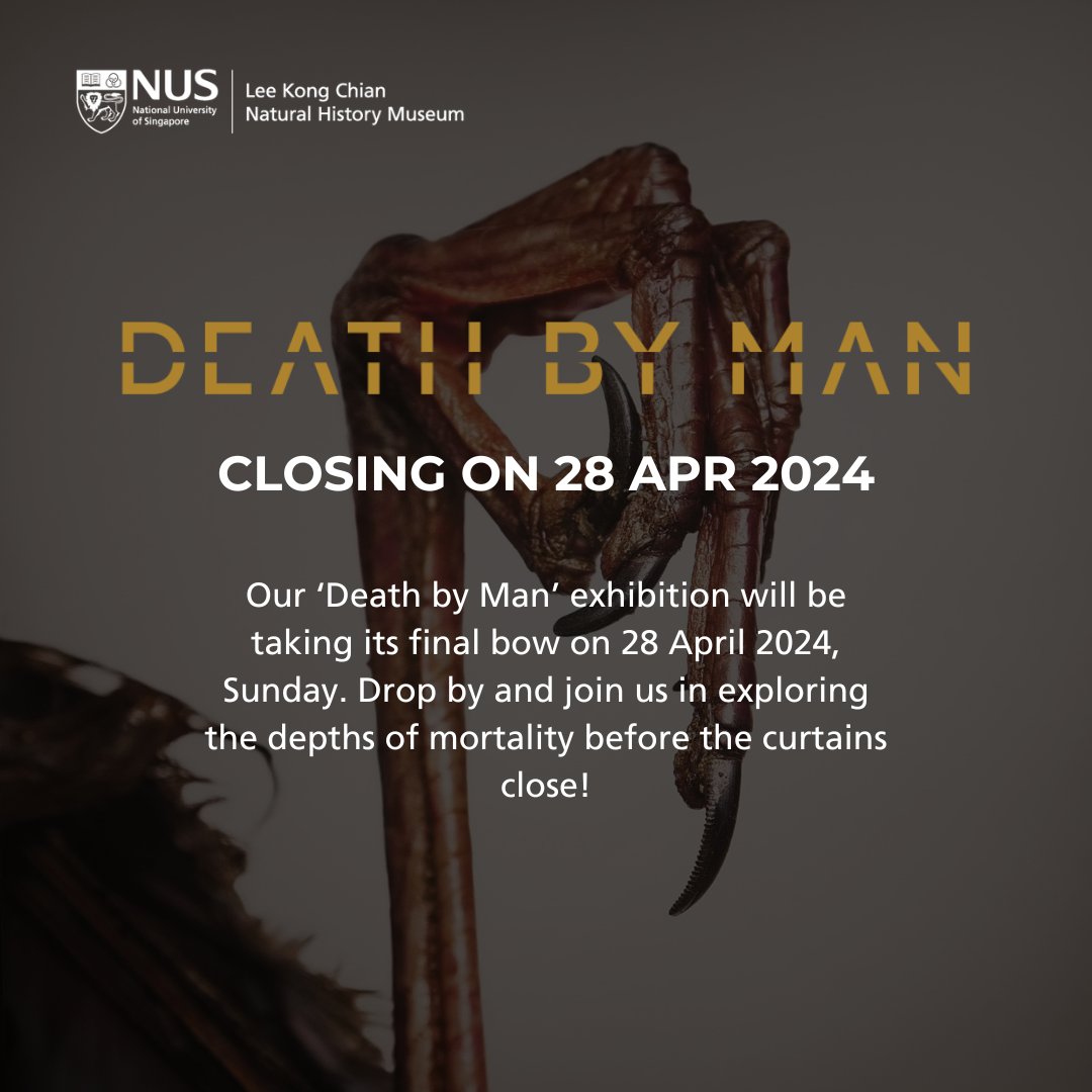 Our ‘Death by Man’ exhibition will be closing on Sunday, 28 April 2024. Walk with us one last time through this journaled obituary—a photographic investigation and documentation of Singapore’s wildlife. Book your tickets to the Museum here: sistic.com.sg/events/lkc2015