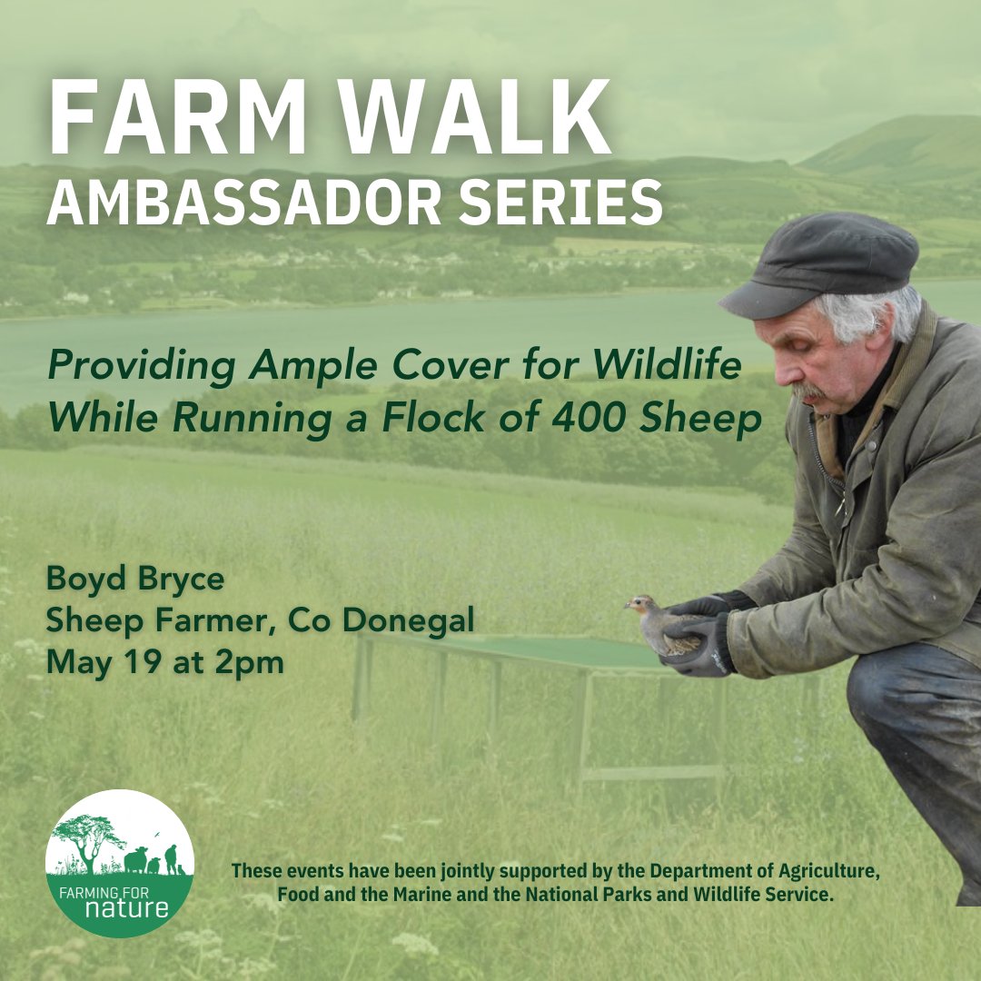 Our first Farming for Nature Ambassador walk of 2024 - 𝐏𝐫𝐨𝐯𝐢𝐝𝐢𝐧𝐠 𝐀𝐦𝐩𝐥𝐞 𝐂𝐨𝐯𝐞𝐫 𝐟𝐨𝐫 𝐖𝐢𝐥𝐝𝐥𝐢𝐟𝐞 𝐖𝐡𝐢𝐥𝐞 𝐑𝐮𝐧𝐧𝐢𝐧𝐠 𝐚 𝐅𝐥𝐨𝐜𝐤 𝐨𝐟 𝟒𝟎𝟎 𝐒𝐡𝐞𝐞𝐩 🗓️May 19 in Donegal 📷Boyd Bryce, Sheep Farmer 📷bit.ly/FFNFarmwalks