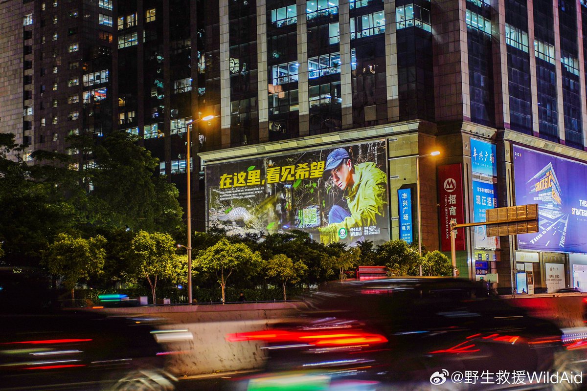 📸 | Spotted: WildAid @WildAid’s first wave of public posters for Wang Yibo’s documentary The documentary with Chinese pangolins will be released this summer. #WangYibo #WangYibo王一博 #王一博