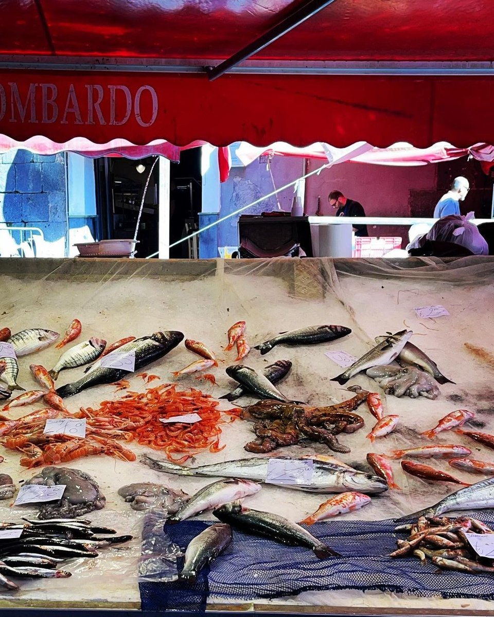 VisitSicilyOP's tweet photo. Se sei in vacanza a 𝗖𝗮𝘁𝗮𝗻𝗶𝗮 e vuoi conoscerne davvero cultura e tradizioni, non puoi non fare tappa al famosissimo mercato del pesce '𝑨 𝑷𝒊𝒔𝒄𝒂𝒓𝒊𝒂 (La pescheria).

#yummysicily #visitsicilyinfo #sicilia #sicily https://t.co/yqTfMkpuzj