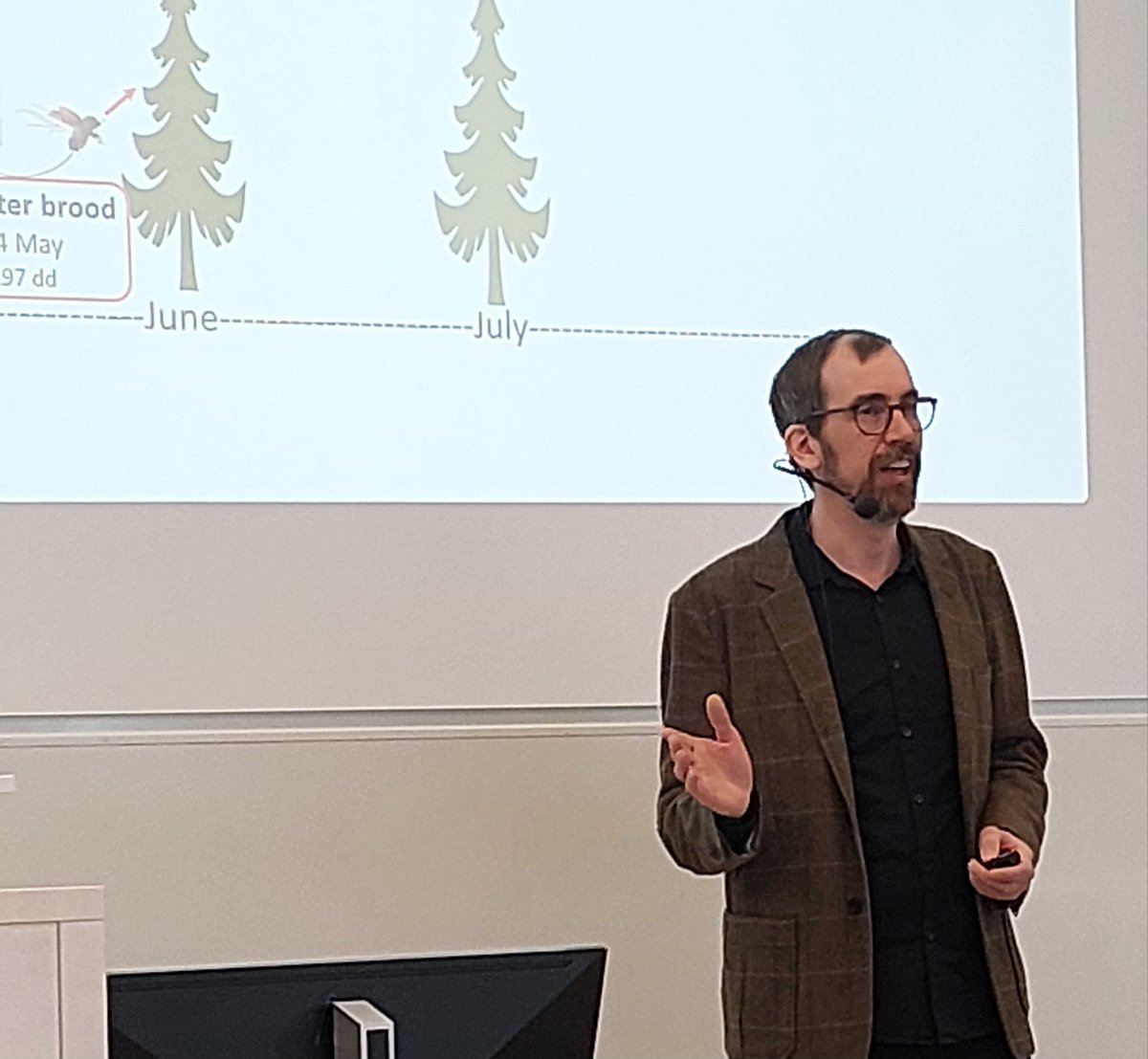 Petter Öhrn is defending his thesis 'Carbon castles vs. beetle-fungus armies : phenology of the spruce bark beetle and Norway spruce resistance in times of climate change' 🌲🏰🪳