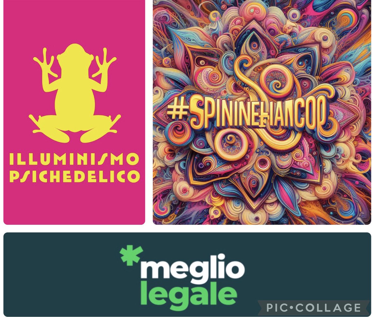 #illuminismopsichedelico #SpiniNelFianco #megliolegale ❤️‍🔥🌺