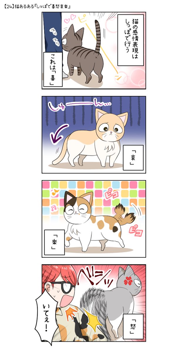 ฅ*【24】猫あるある『しっぽで喜怒哀楽』*ฅ* #にゃん生 #あつしchannel