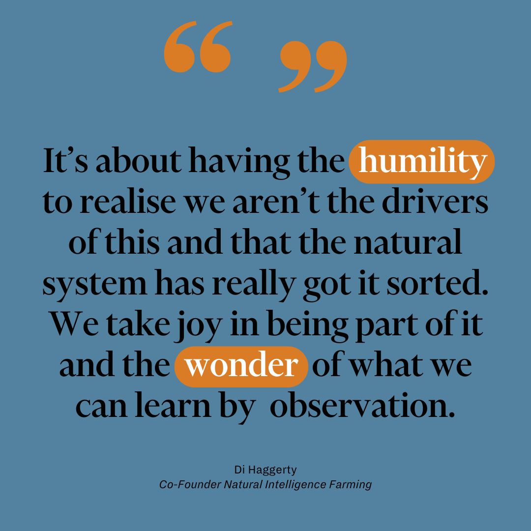 'It's about realising that the natural system has really got it sorted' - Di Haggerty, Co-founder Natural Intelligence farming Read more about Di in the Sustainable Table blog below: link in the comments! sustainabletable.org.au/journal/love-h… #Sustainability #Biodiversity #Farming #Nature