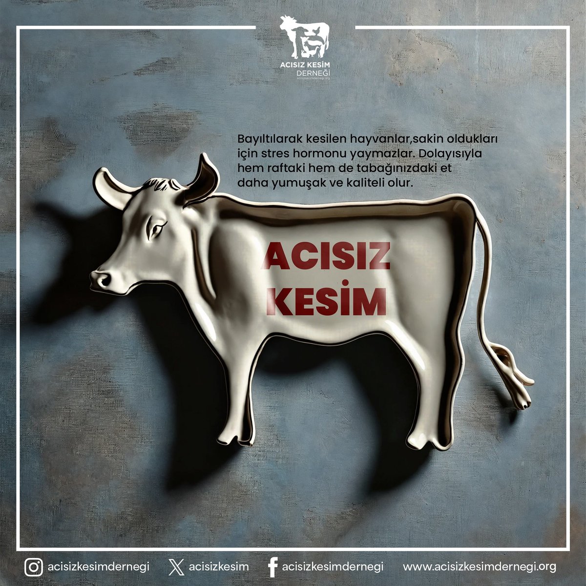 #acısızkesim #hayvanhakları #çiftlikhayvanları #acısızkesimdernegi #mezbahalar #kesimhaneler