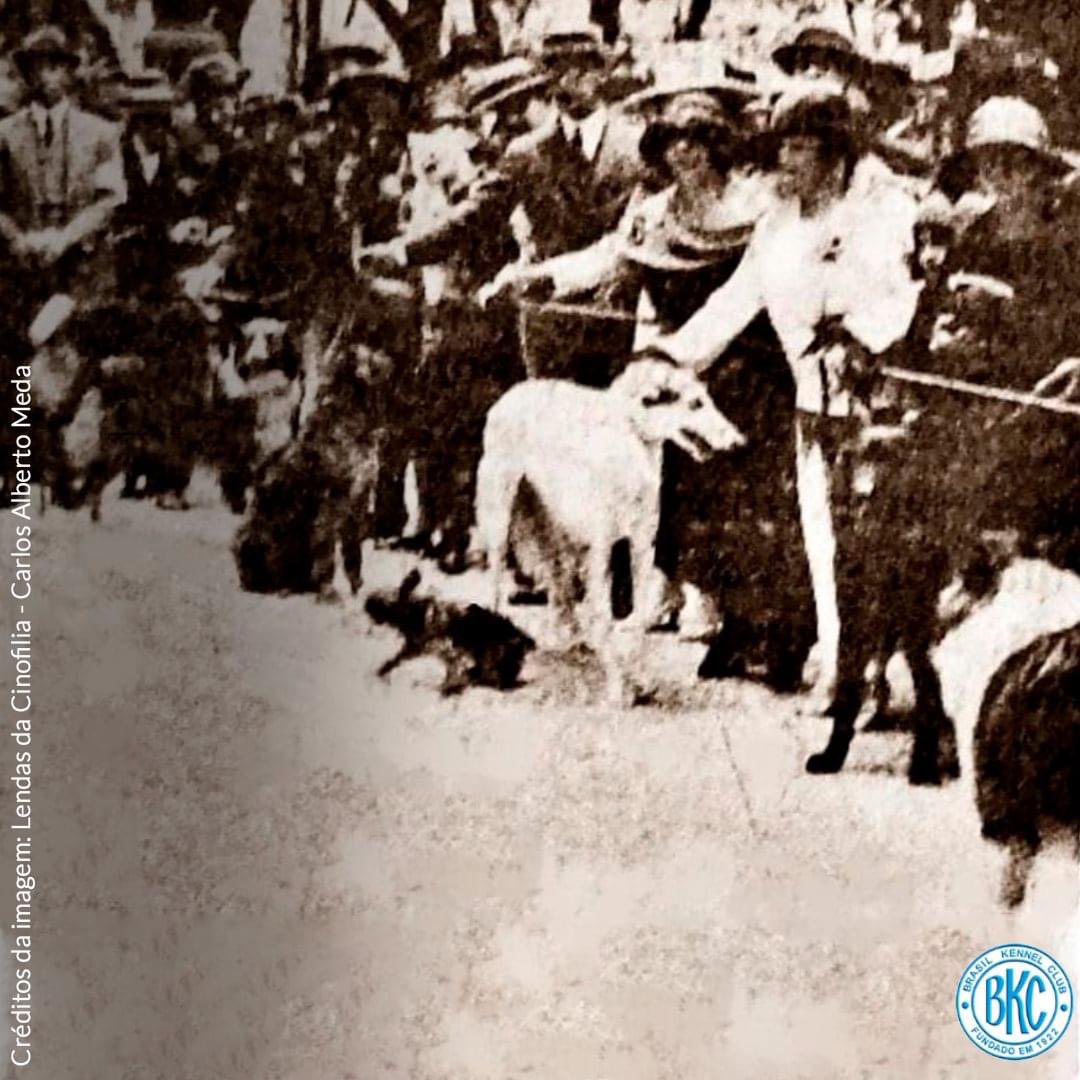 Borzoi in Brazil!! Rio de Janeiro 1923, the first BKC dog show!
