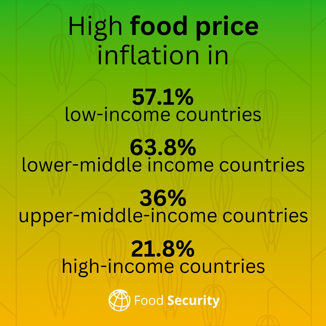 Compared to January 2020, maize prices are 13% higher, wheat prices are 1% higher, and rice prices are 48% higher. More on food commodities in our latest bi-weekly #FoodSecurity Update: wrld.bg/OjvC50RjPTt