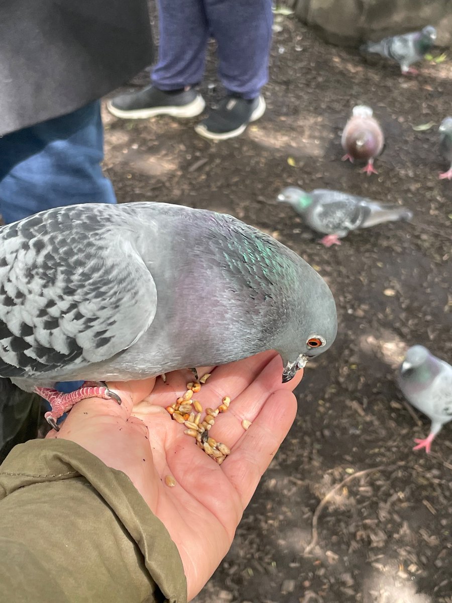 Been a busy week here @pinccollege York. Some students have started their timed sessions for their portfolios. A great way to finish the week, being at one with nature. #pinccollege#busyweek#happyfriday#mindfulness