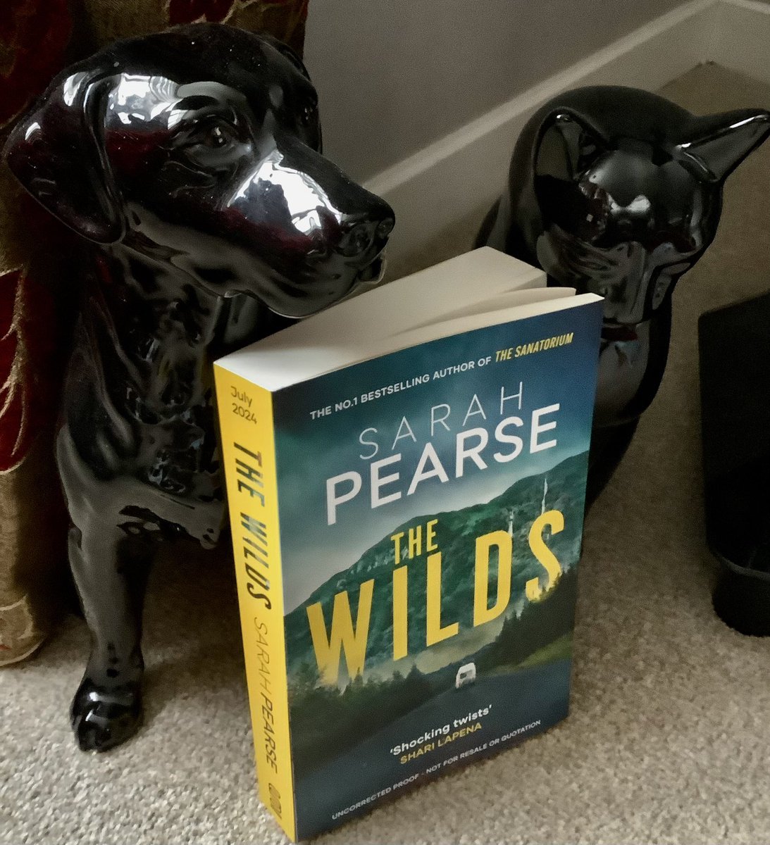 📮📮BOOK POST📮📮 Exciting post. Thank you Celeste @BooksSphere @LittleBrownUK for this gorgeous copy of #TheWilds by @SarahVPearse Published July 2024 It’s sounds amazing and I can’t wait to get stuck in.