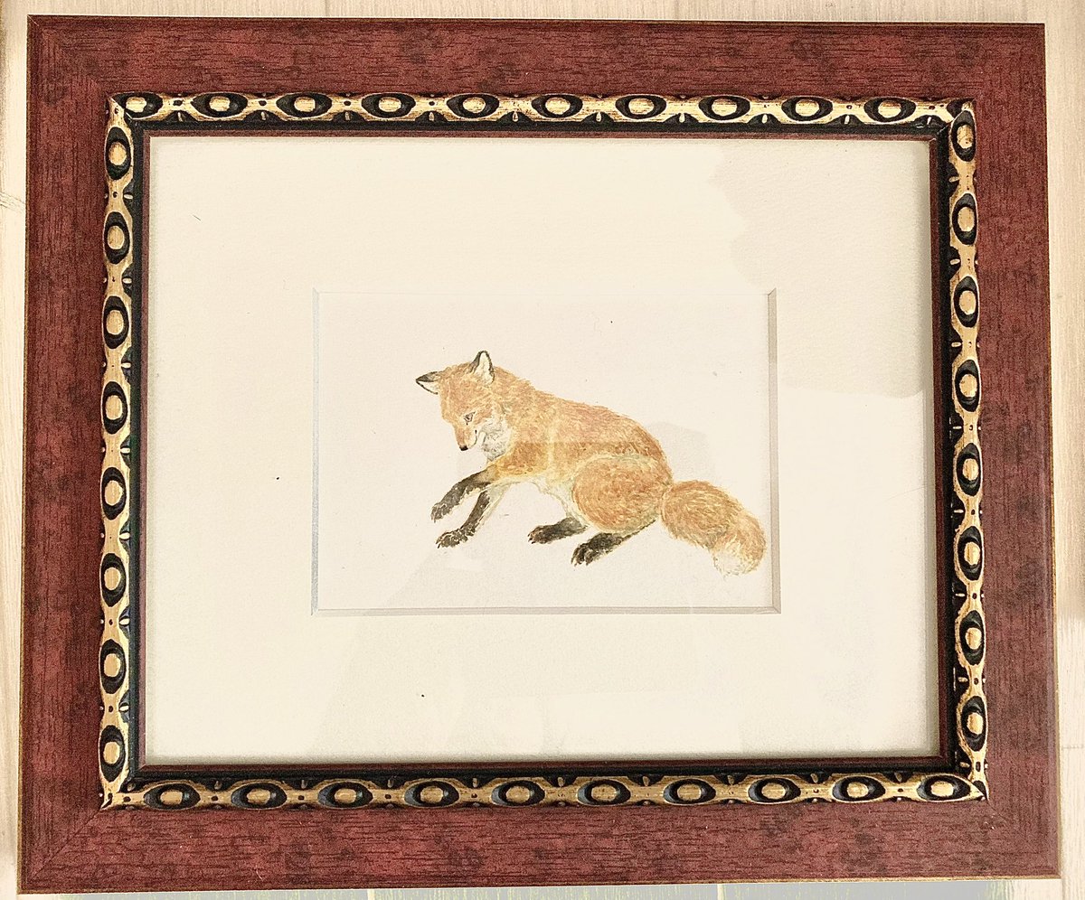 Kitsune_Hyoka's tweet photo. #キツネのジョヌと小さな雑貨店
【🦊出展作品&amp;グッズ🦊】
いよいよ明日から、神奈川で約1ヶ月開催されるキツネ展に出展した作品及びグッズをご紹介いたします！

原画3点
『寝転ぶキツネ』　¥8000
『前足を見るキツネ』　¥8000
『走るキツネ』　¥10000
全て額装済み

以下、続きます https://t.co/ww8WdG3NIv