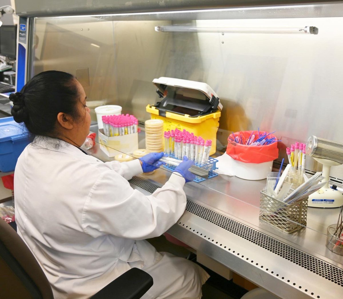 HRHealth_'s tweet image. Our Medical Laboratory Professionals provide accurate and timely laboratory test results to our physicians to help make critical medical decisions. Although they often work behind closed doors, their role is vital to Humber and in delivering safe, quality care. #MedicalLabWeek