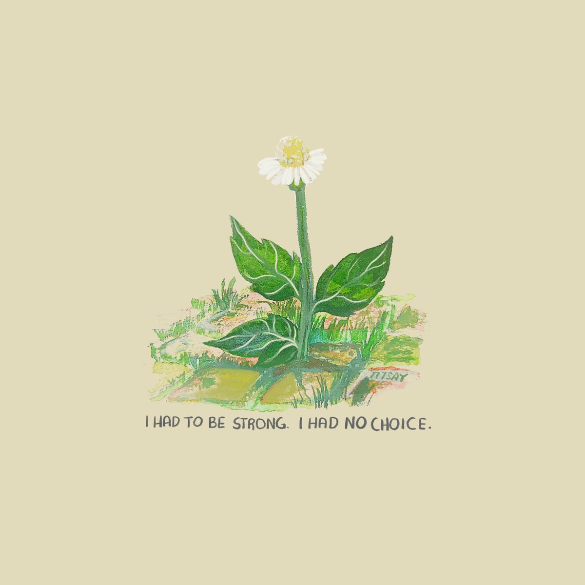 titsay 𓆏 (@titsay) on Twitter photo 