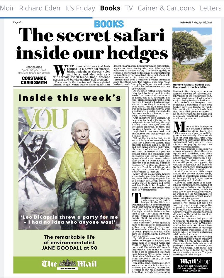 My review in today’s Mail of an eye-opening book on the wonder of British hedges. If you have a healthy one near you - appreciate and cherish it! Just as precious as a sliver of rainforest.