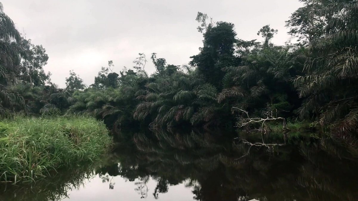 Ocho Damas tweet media