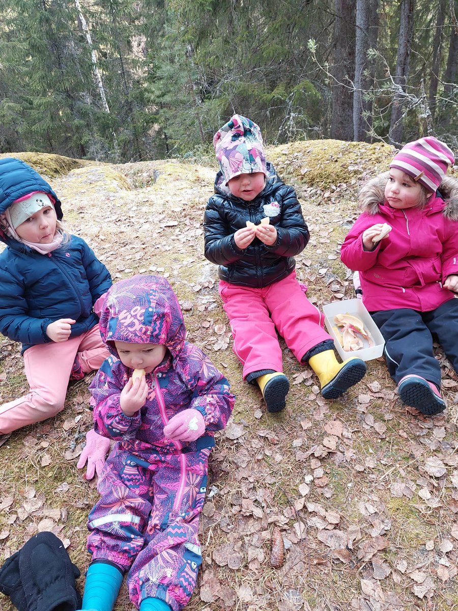 _Ikaalinen's tweet photo. Ikaalisten perhepäivähoidon perjantai ja metsäretkipäivä 🌲☺️
Kierrettiin Kalmaan rantoja pitkin Kukkukalliolle. 
#Ikaalinen #perhepäivähoito #metsäretki https://t.co/WFWuW86qo5