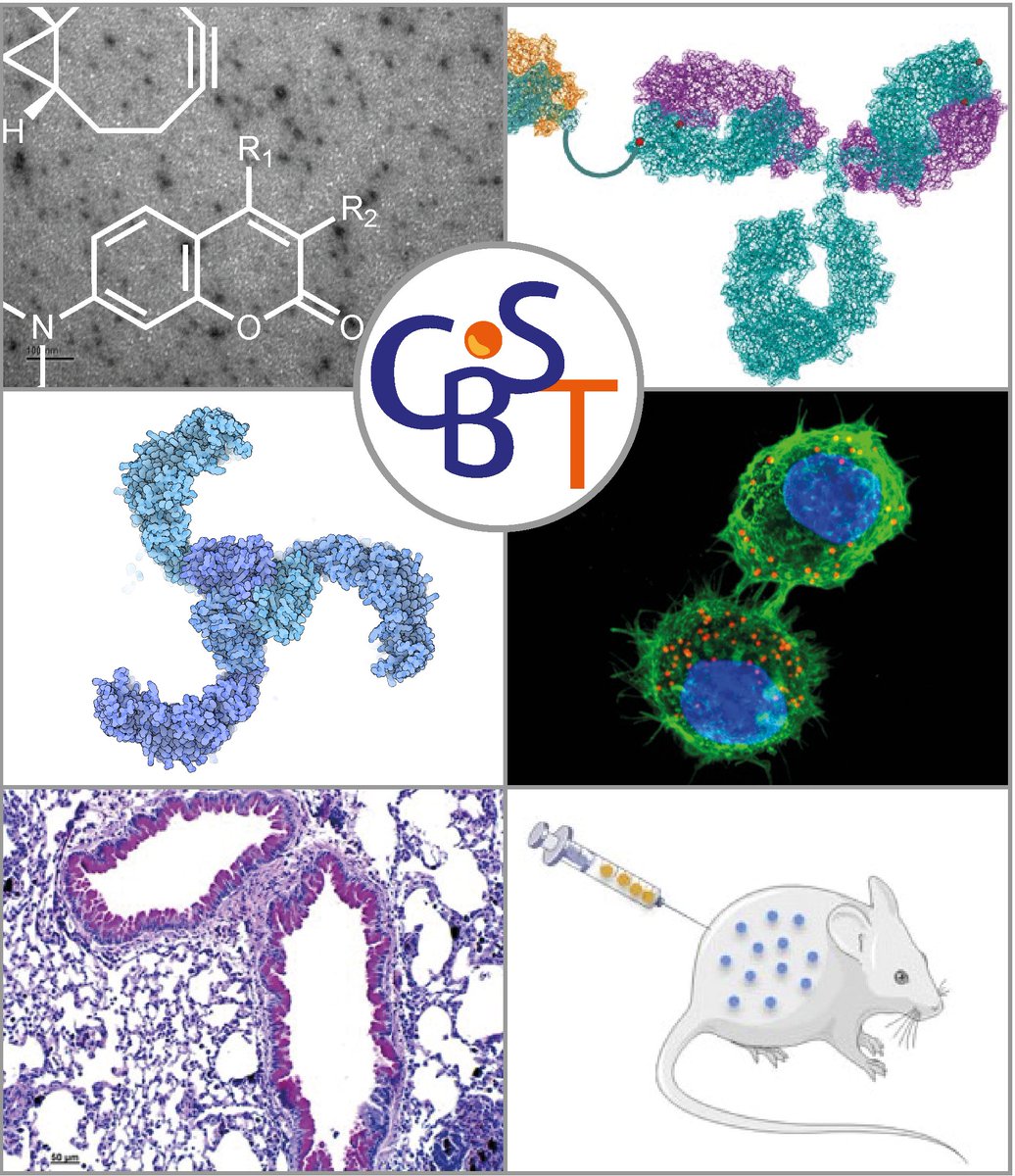 UMR 7199 Laboratoire CBST (@umr7199) on Twitter photo 😀Excited to share our new website! Please check it out here: cbst.unistra.fr/en/
<a href="/UMR7199/">UMR 7199 Laboratoire CBST</a> 😀Excited to share our new website! Please check it out here: cbst.unistra.fr/en/
<a href="/UMR7199/">UMR 7199 Laboratoire CBST</a>