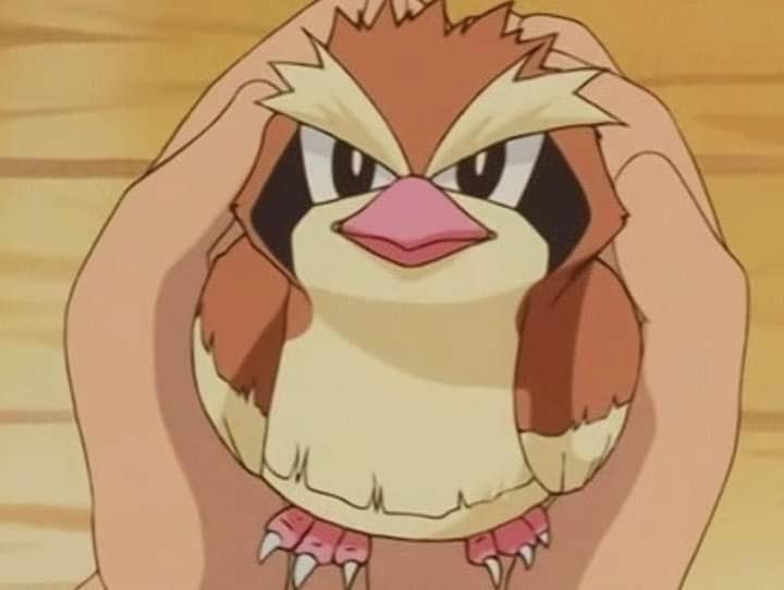 *gently holds the baby bird*