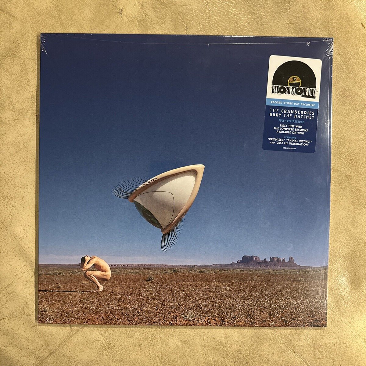 US edition - Bury The Hatchet - #RSD2024 #TheCranberries ebay.com/itm/1863994111…