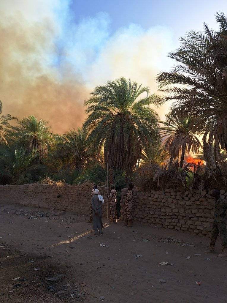 🔴 Fada | Un incendie d'origine inconnue a ravagé plusieurs jardins de palmiers dattiers à Fada, dans la Province de l'Ennedi-Ouest. Les dégâts matériels sont considérables. C'est le deuxième incendie en moins d'une semaine dans la région. 
#Tchad #Adjib