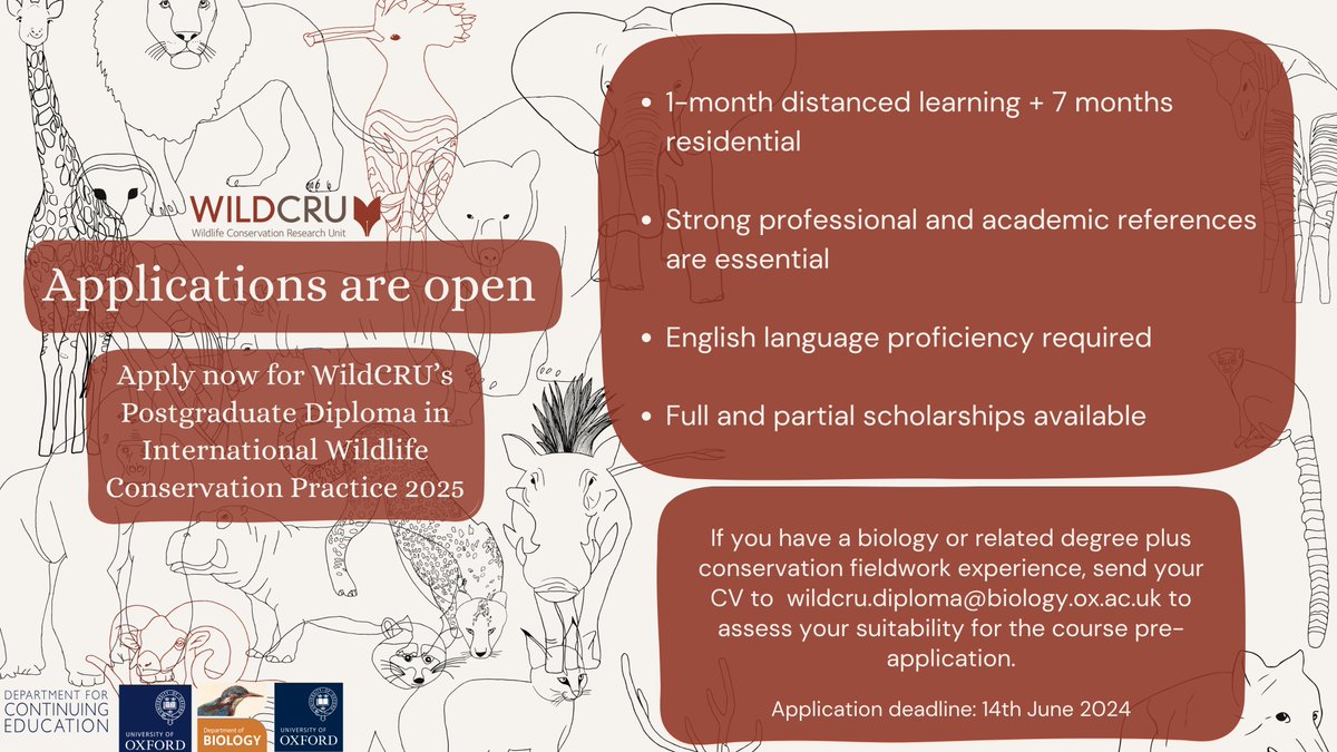 WIldCRU is inviting applications from exceptional early career #conservationists to join our popular Postgraduate Diploma in International #Wildlife Conservation Practice. For more info see: tinyurl.com/44pmfus8 Application deadline: 14.06.2024