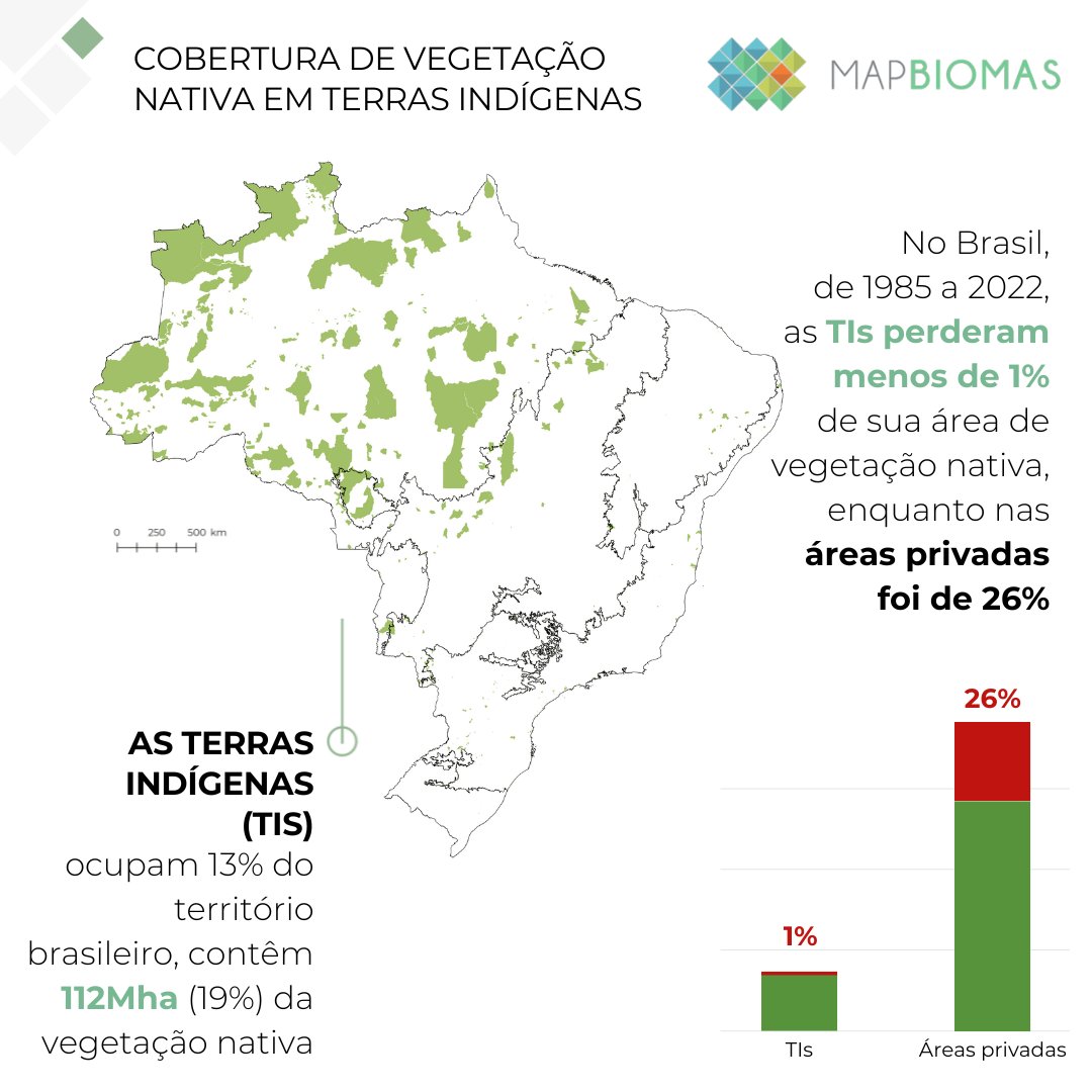 mapbiomas tweet picture