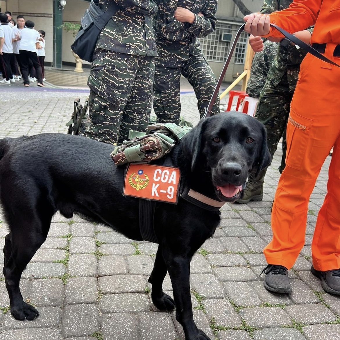 k9planet_japan's tweet photo. 🇹🇼台湾沿岸警備隊の探知犬K9 "ジオン"🐕
#repost @cga_xion_1208
#k9 #k9planet #workingdog #k9training #searchdog #shepherd #ラブラドールレトリバー #germanshepherd #黒ラブ #k9unit #labradorretriever #sardog #taiwanrescuedog #沿岸警備隊 #costguard #taiwancoastguard https://t.co/H153EKjJtF